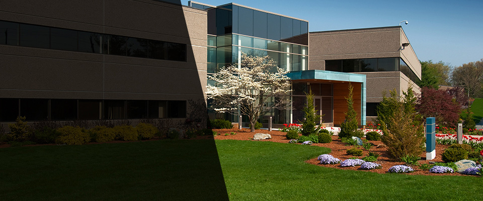 Belington Landscapers