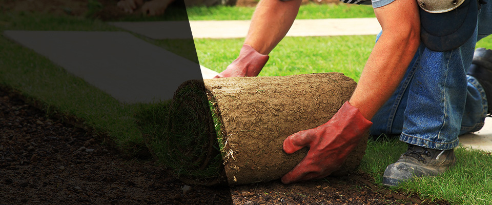 Belington Landscapers